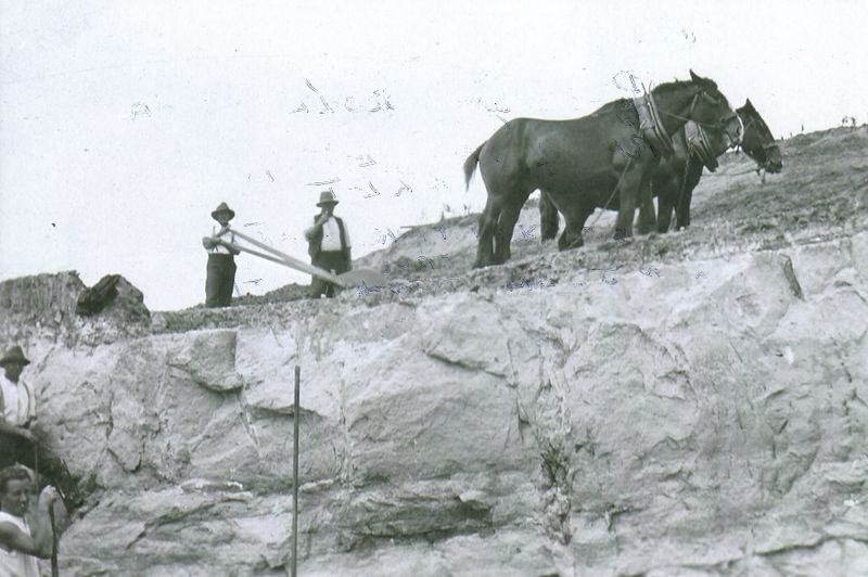 Early roadmaking on Phillip Island post image