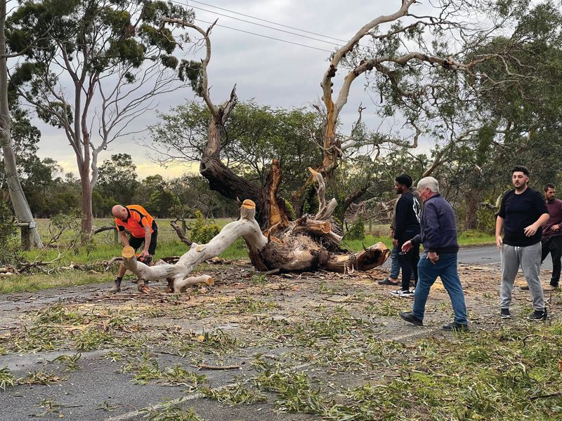 SES respond, as strong winds batter the island post image