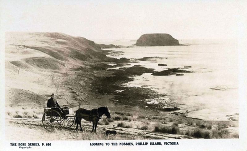 Do you know these historical oddities? post image