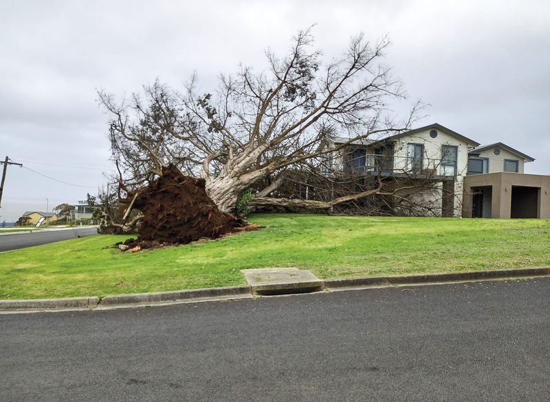 SES inundated during last week's storm post image