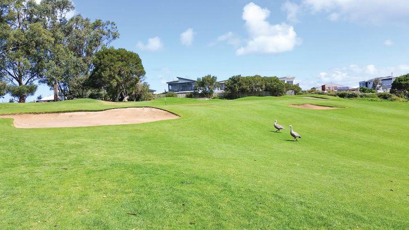 Phillip Island golf post image
