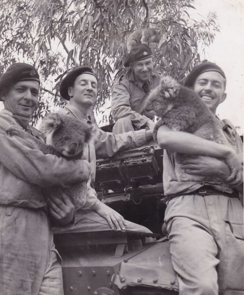 Army units post image