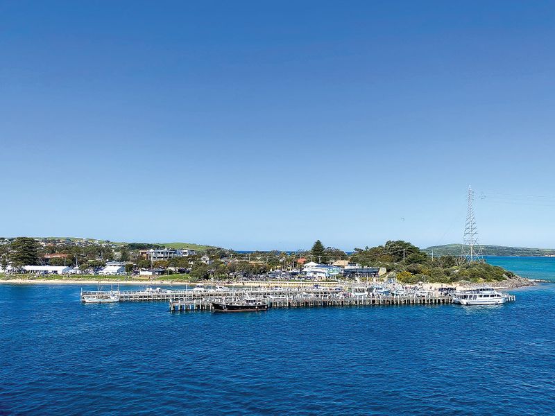 A magnificent weekend! TIDAL Seafood festival success post image