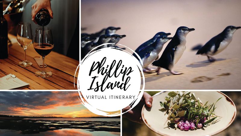 Island hosts virtual weekend post image