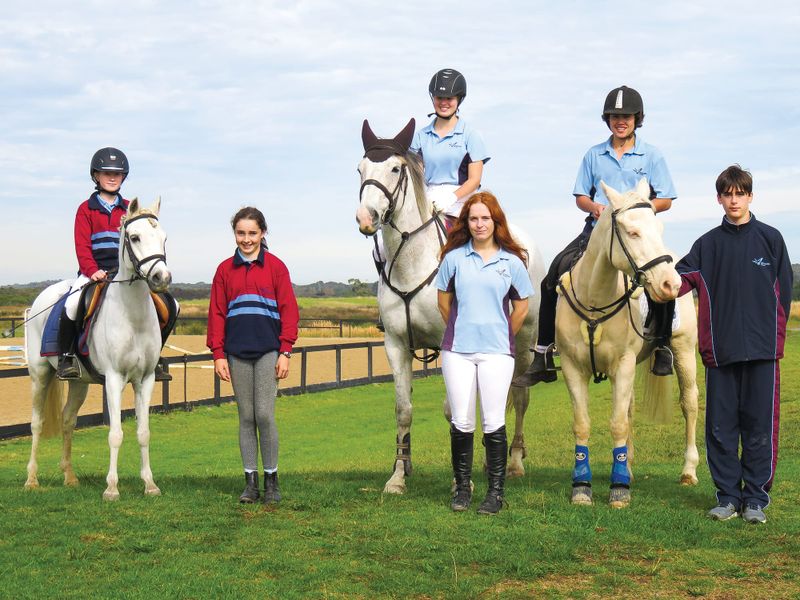 College Show Jumping Success post image