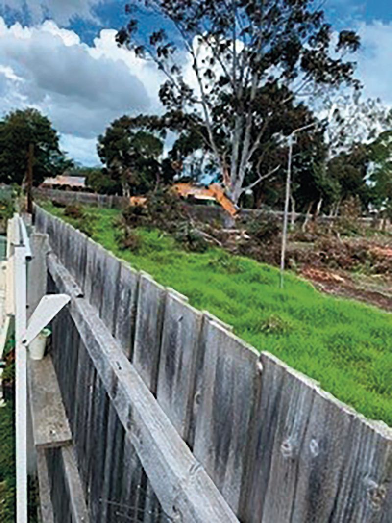 Tree lopping under investigation at caravan park post image