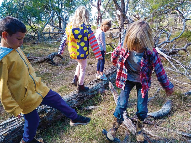 Village School goes bush post image