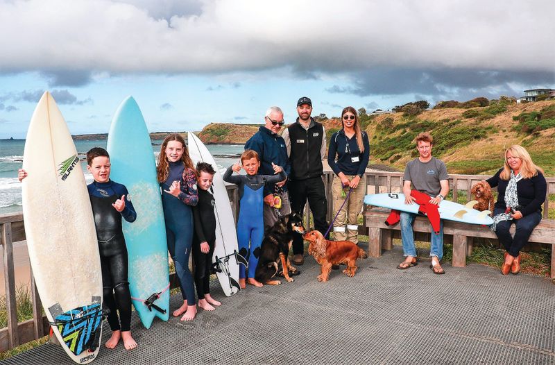 Sharing our beaches this summer post image