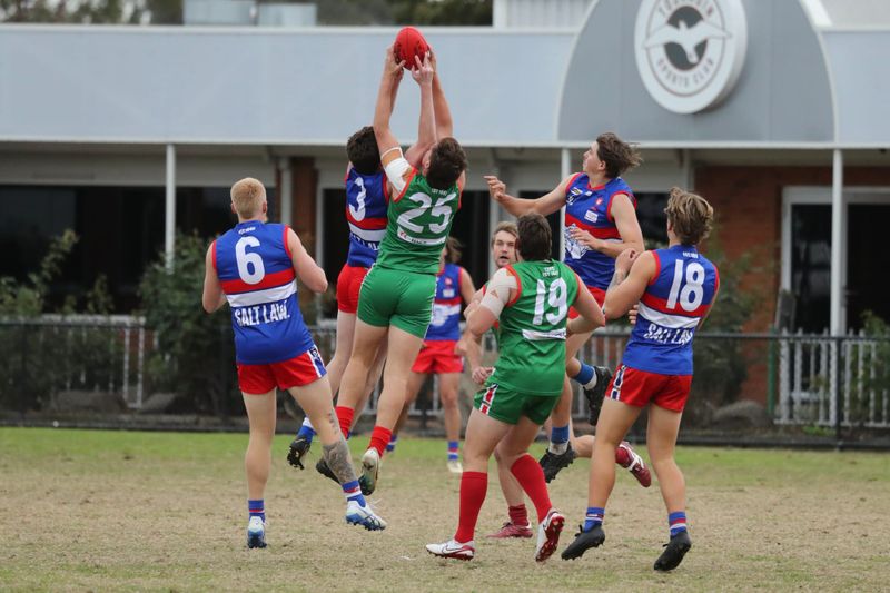 Hard slog for the Bulldogs post image