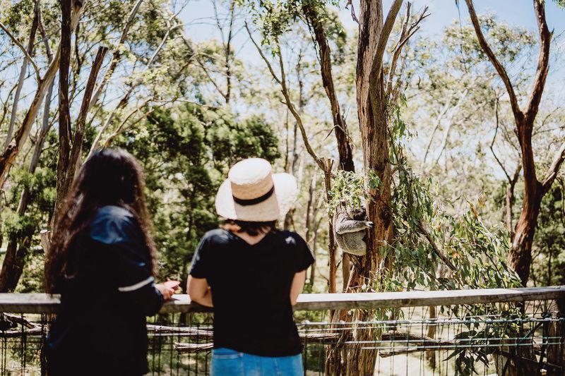 Tourism is everyone’s business post image