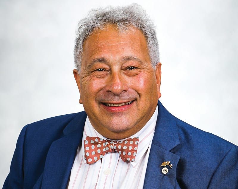 Councillor left out of pocket by scammers post image