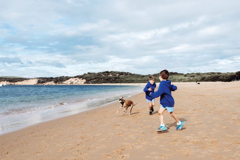 Phillip Island off-leash areas post image