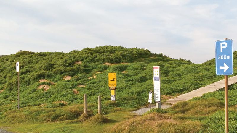Shearwater destruction if scheme proceeds post image