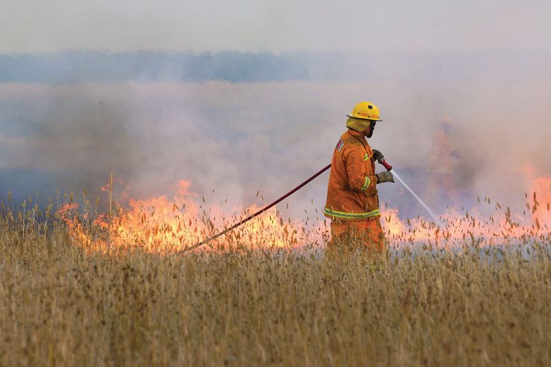 Take care with burn offs post image