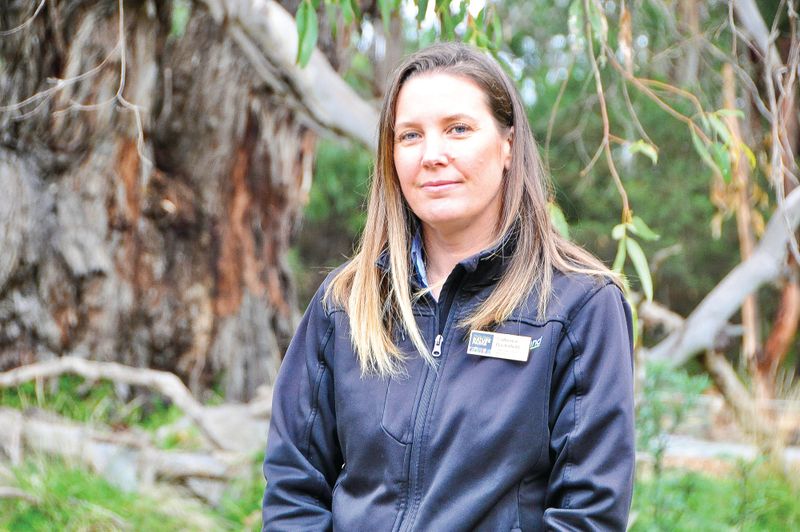 Pandemic hits Nature Parks hard post image
