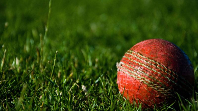 Our cricket future is bright post image