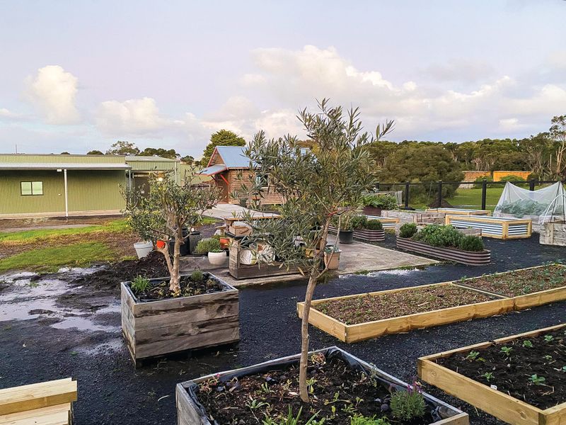 PICAL finally takes over community garden post image