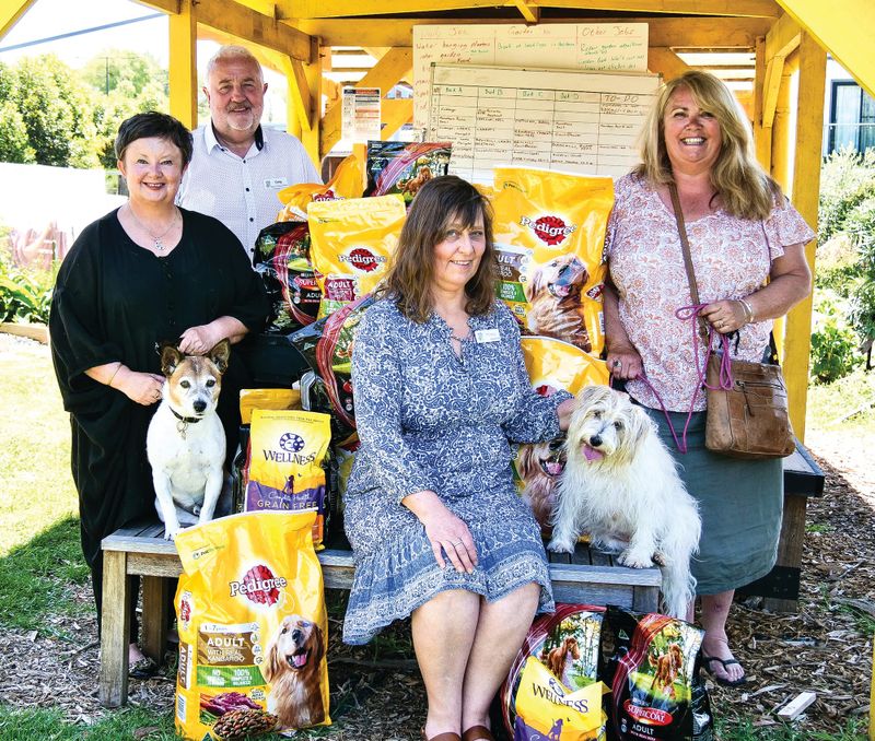 Our four-legged friends deserve a happy Christmas too post image