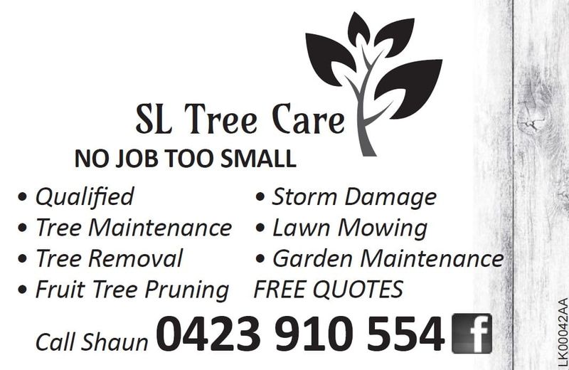 SL Tree Care post image
