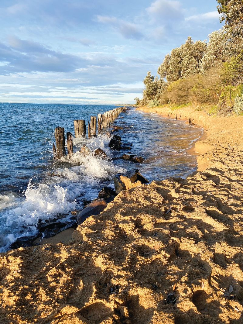 Sea level rise risk, more to come post image