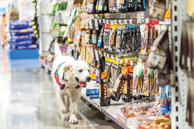 PETstock Cowes turns one post image