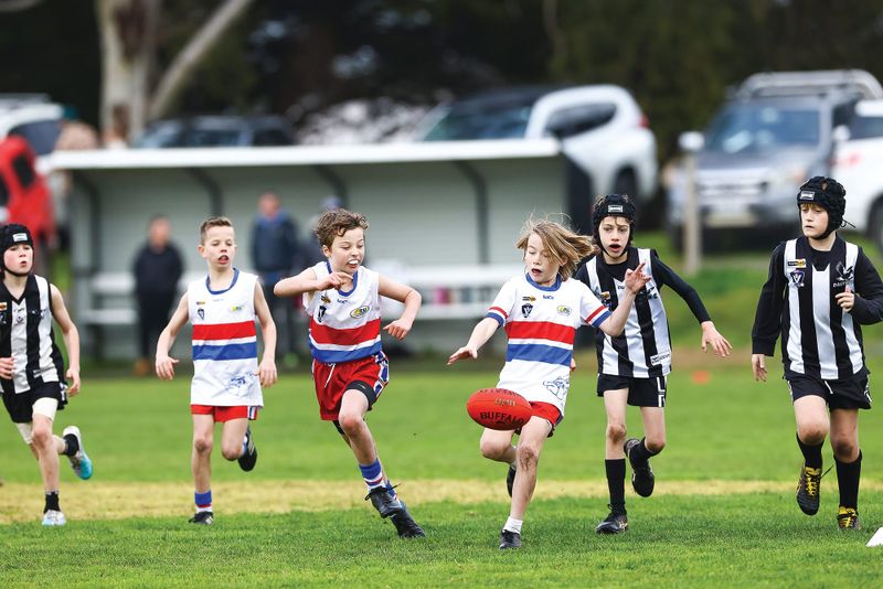 Big week on the field for junior Dogs - U10 Red post image