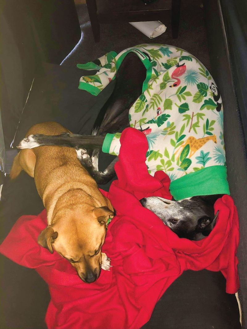 Tilly’s a runaway sensation post image