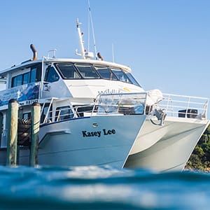 Wildlife Coast Cruises post image