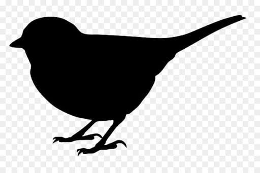 Can you solve this mystery? post image