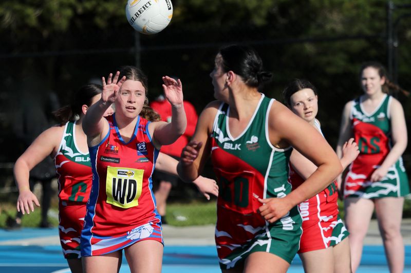 A netballers went down fighting! post image