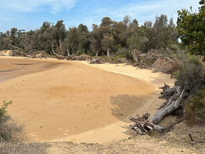 Rock bags to be installed at Silverleaves post image