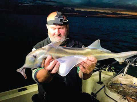 Around the Bay with Jim's Bait & Tackle post image