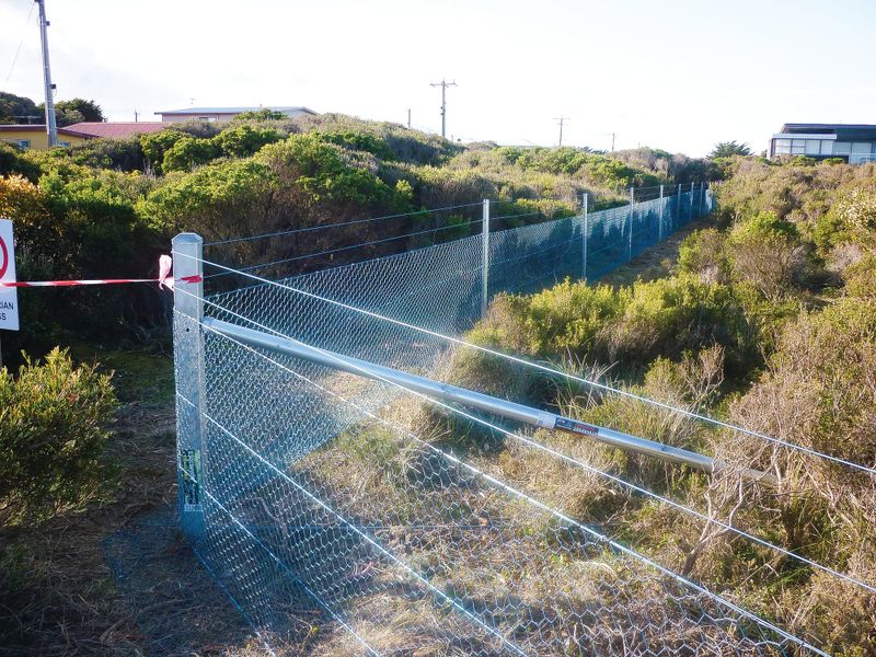 Rabbit proof fence divides Surf Beach post image