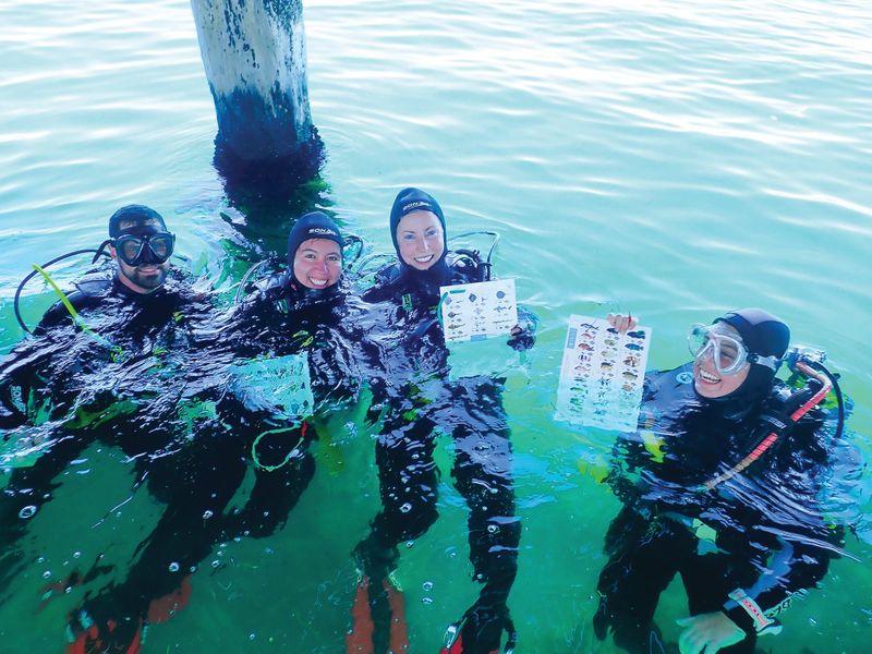 Summer sea activities post image