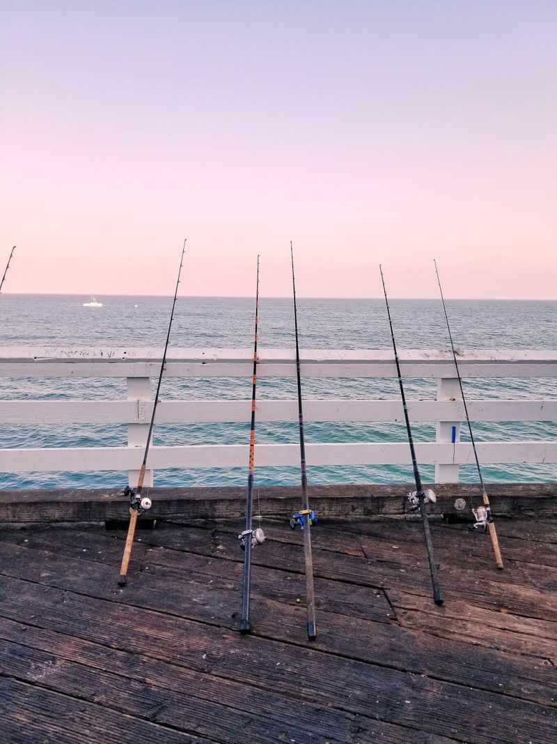 Around the bay with Jim’s Bait & Tackle post image