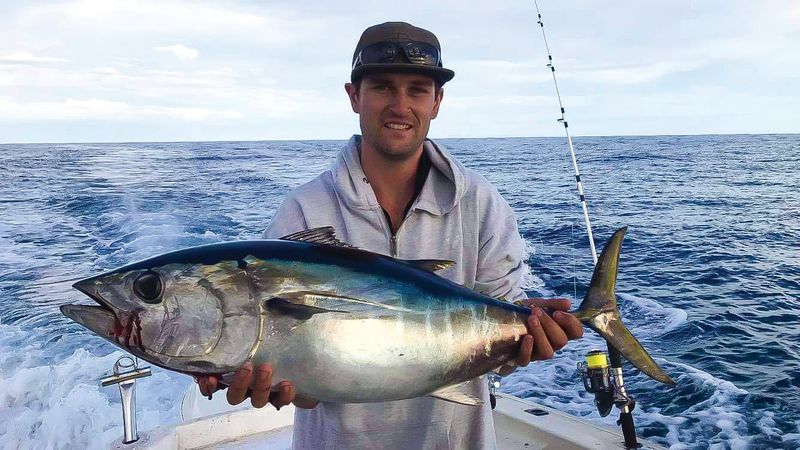 The tuna are still here post image