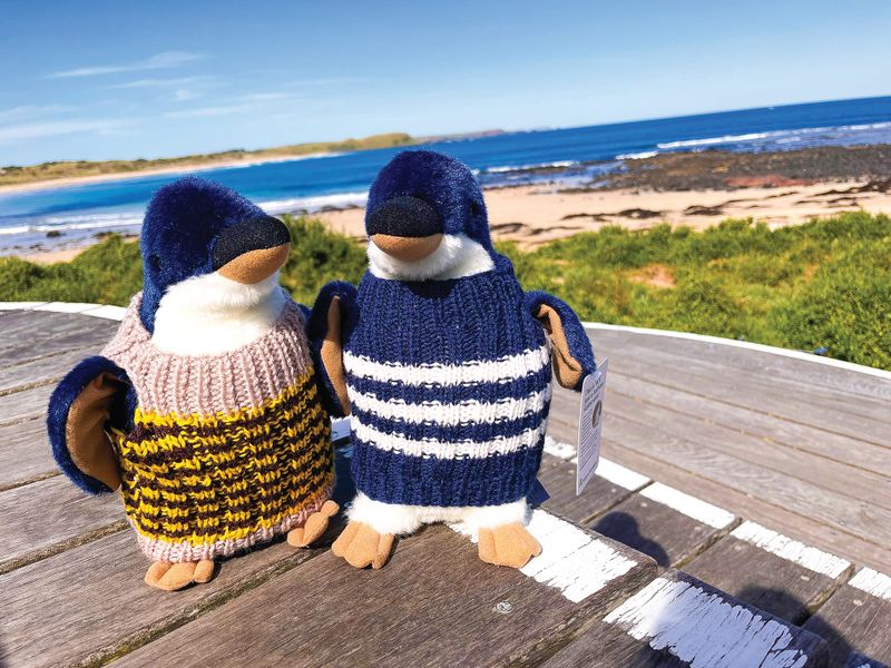 Get knitting for penguins post image