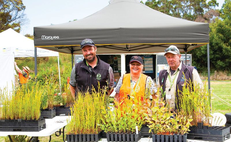 Activities for all ages at the Bass Coast Sustainability Festival post image