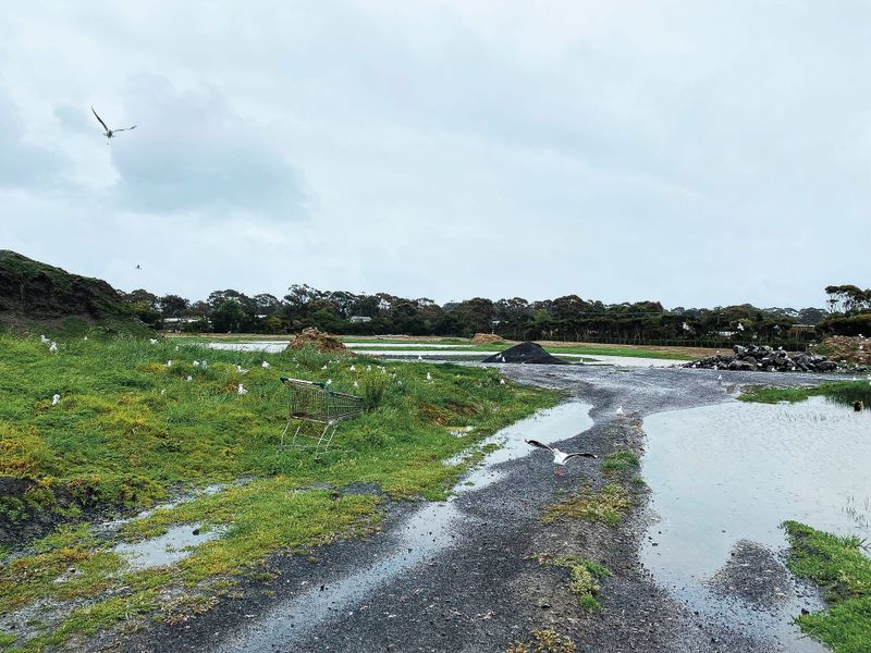 Wetlands in no-man’s land as residents call for action post image