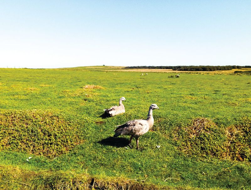 What does managing wildlife mean? post image