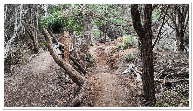 Damaged foreshore to be restored post image