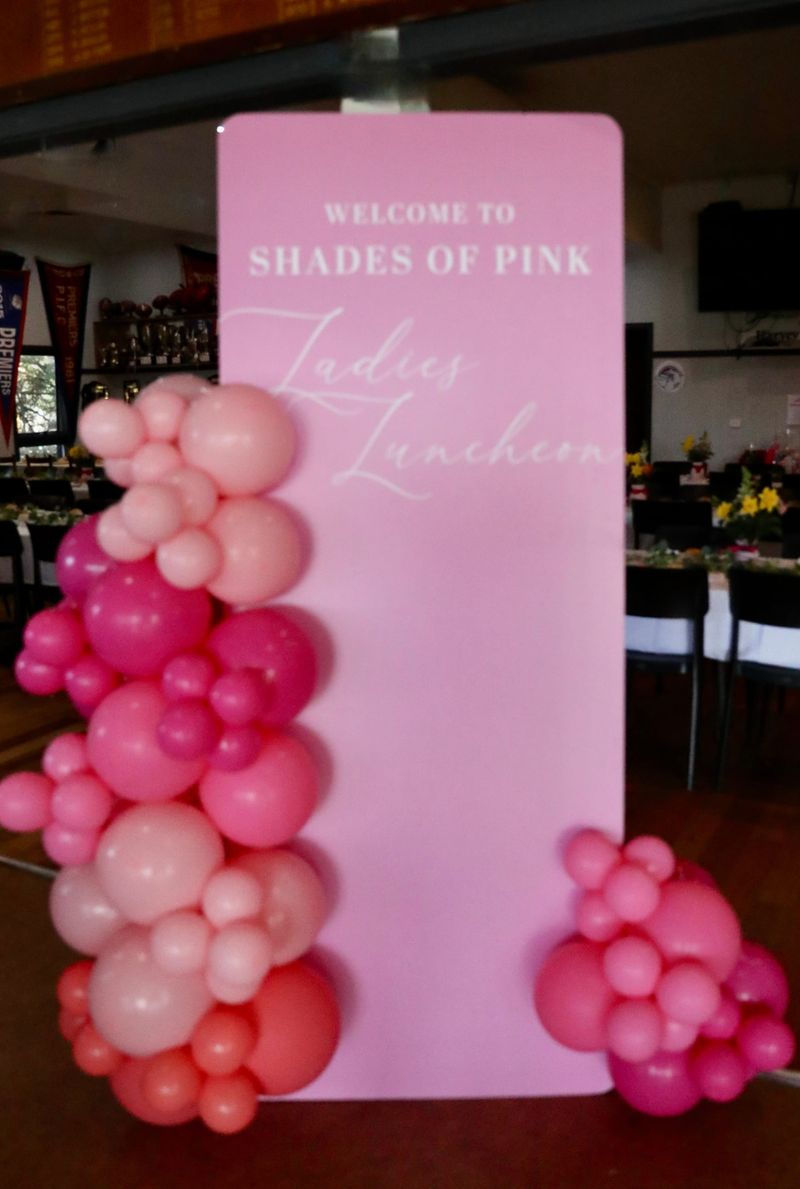 Shades of Pink 2025 post image