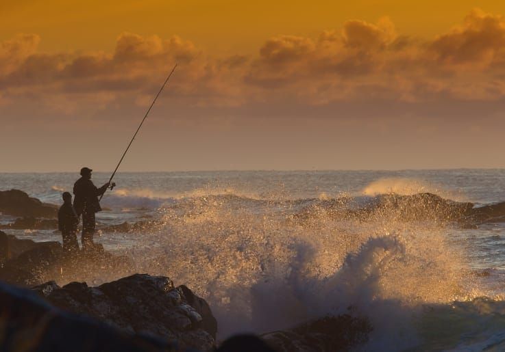 Volunteers sought for fishing licence advisory committee post image