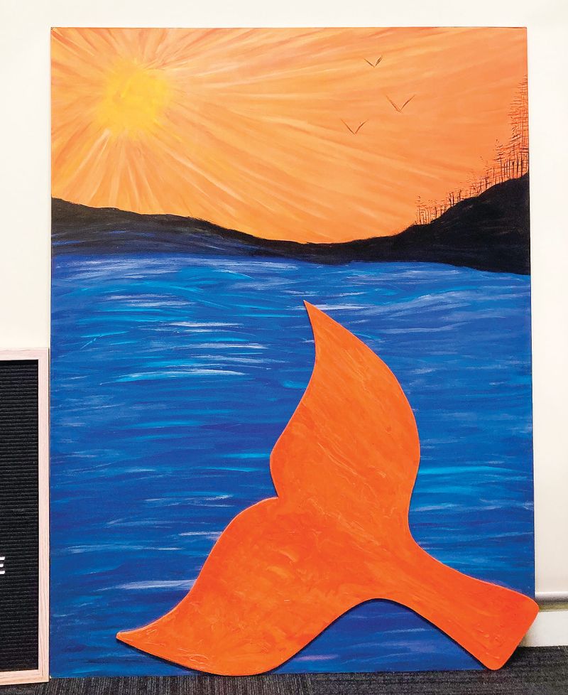 It all adds up to a whale of a time post image