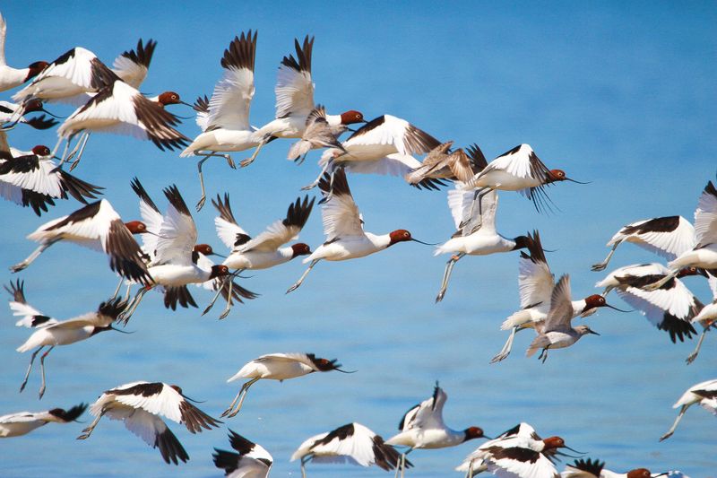 Help guide the future of the Western Port region post image
