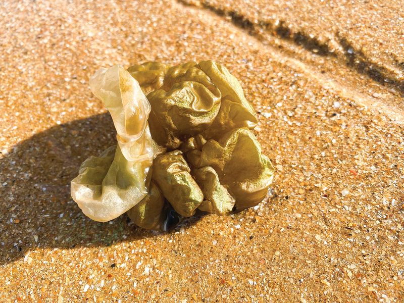 Do you know what this is? post image