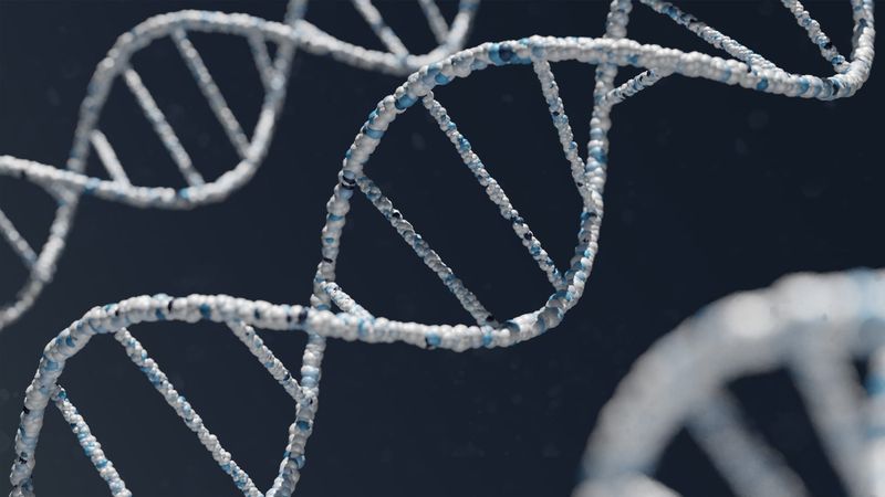 DNA analysis points to accused post image