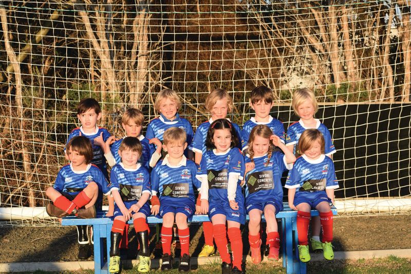 Soccer season stunted by Covid post image
