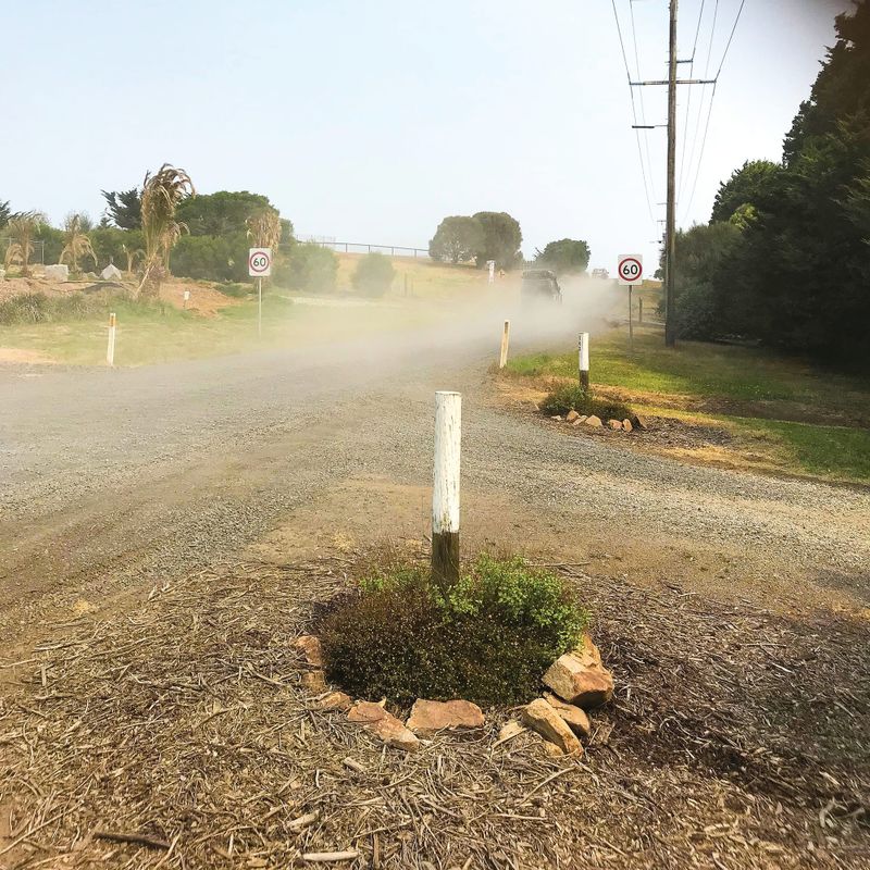 Student health at risk from road dust post image