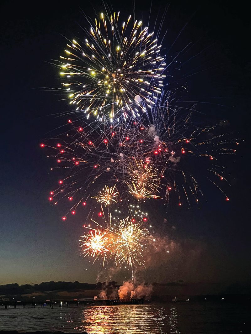 Bass Coast celebrates New Year in style post image